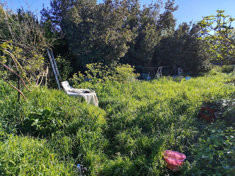 Entretien des espaces verts